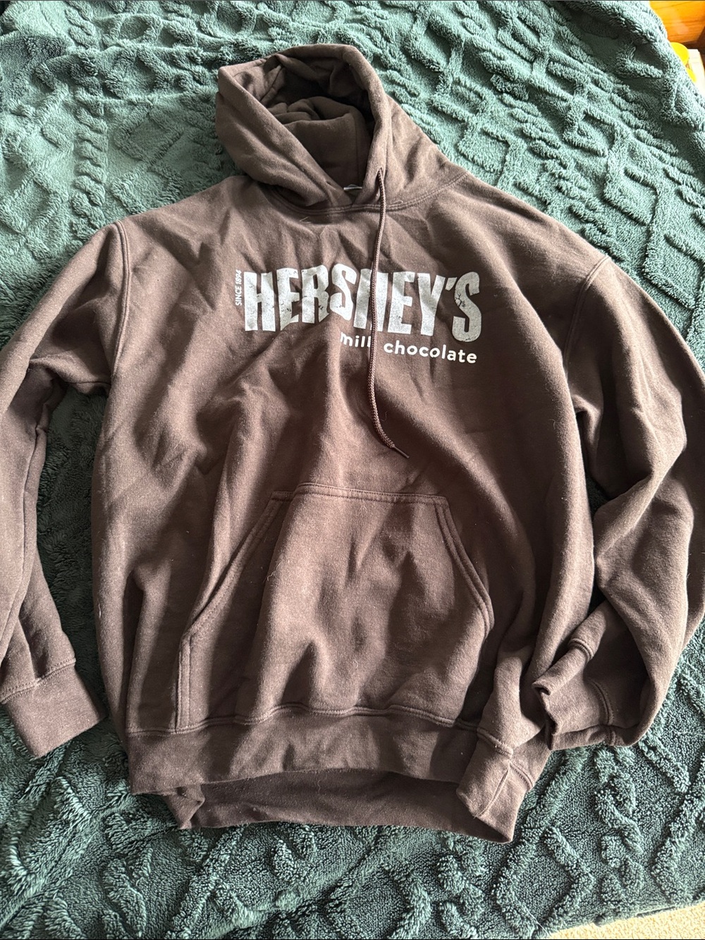 Hershey’s Brown Logo Hoodie - Men's Pullover Sweatshirt
